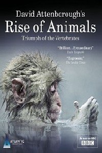 ცხოველთა დაწინაურება: ხერხემლიანთა ტრიუმფი / Rise of Animals: Triumph of the Vertebrates (2013)