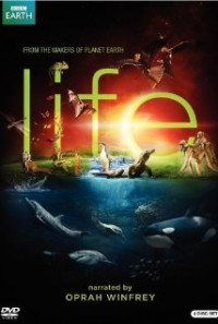 სიცოცხლე / Life (2009)