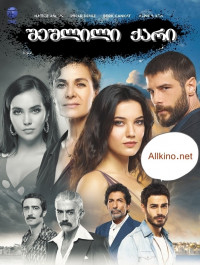 შეშლილი ქარი თურქული სერიალი (ქართულად) / Bir Deli Rüzgar / sheshlili qari turquli seriali (qartulad)