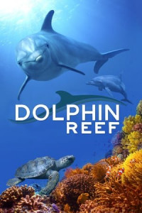 დელფინის რიფი (ქართულად) (2018) / Delfinis Rifi (Qartulad) / Dolphin Reef