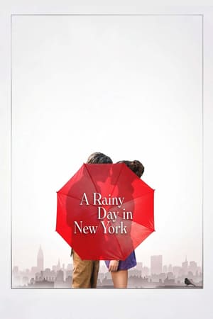 წვიმიანი დღე ნიუ იორკში / A Rainy Day in New York