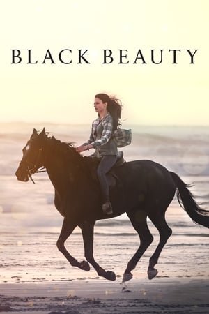 შავი სილამაზე / Black Beauty
