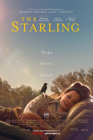 შოშია / The Starling