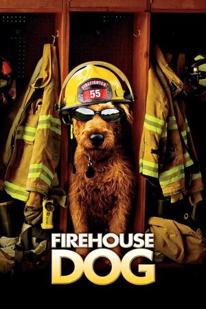 მეხანძრე ძაღლი / Firehouse Dog