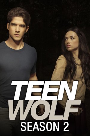 თინეიჯერი მგელი ყველა სეზონი (ქართულად) / Teen Wolf  All Season